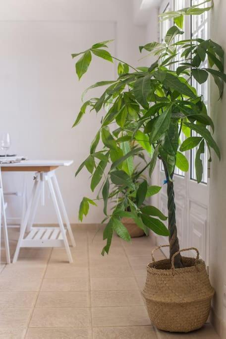 Lisbon Waves Surf Lodge Almada Zewnętrze zdjęcie